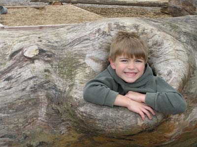Boy in log