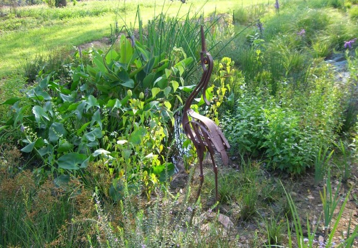 rain garden